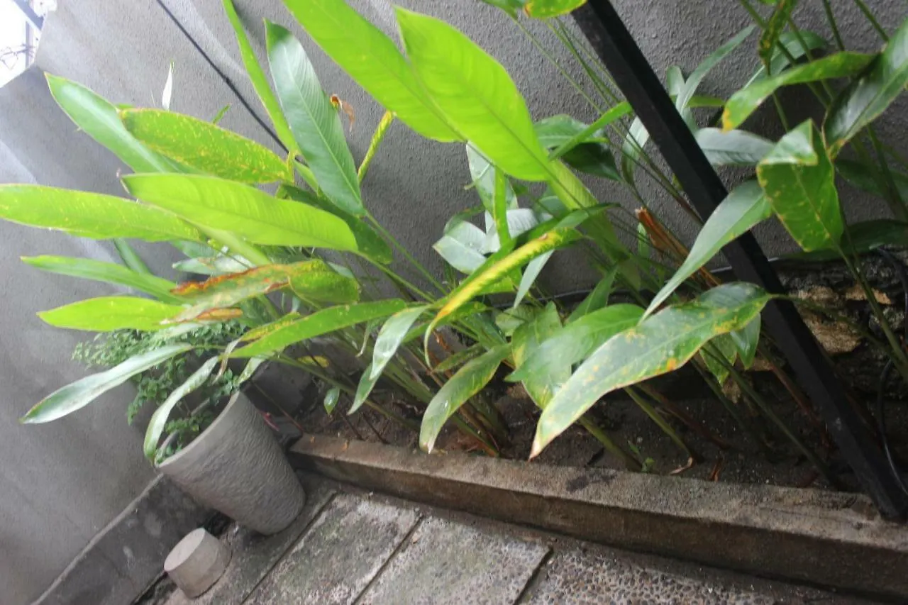 Paranyogan Homestay 2 Jimbaran