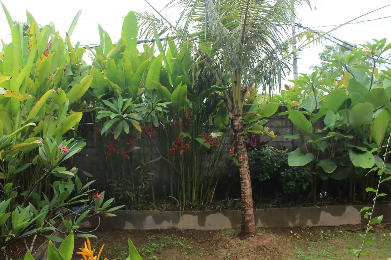 Guest house Paranyogan Homestay 2 Jimbaran  Indonesia